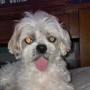 Meet your Posher, Fabiana